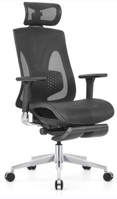 ประสบการณ์สนับสนุนที่ไม่มีคู่แข่ง ergonomic Mesh เก้าอี้สํานักงานสําหรับการตั้งตัวที่ดีที่สุด