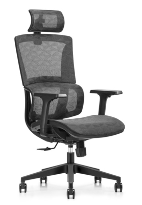 การสนับสนุนและความสะดวกสบายที่ไร้คู่แข่ง ergonomic Mesh เก้าอี้สํานักงานสําหรับการจัดสรรที่สมบูรณ์แบบ